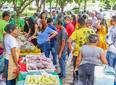 Quitanda levará frutas e hortaliças à II Feira da Agricultura Familiar do Piauí