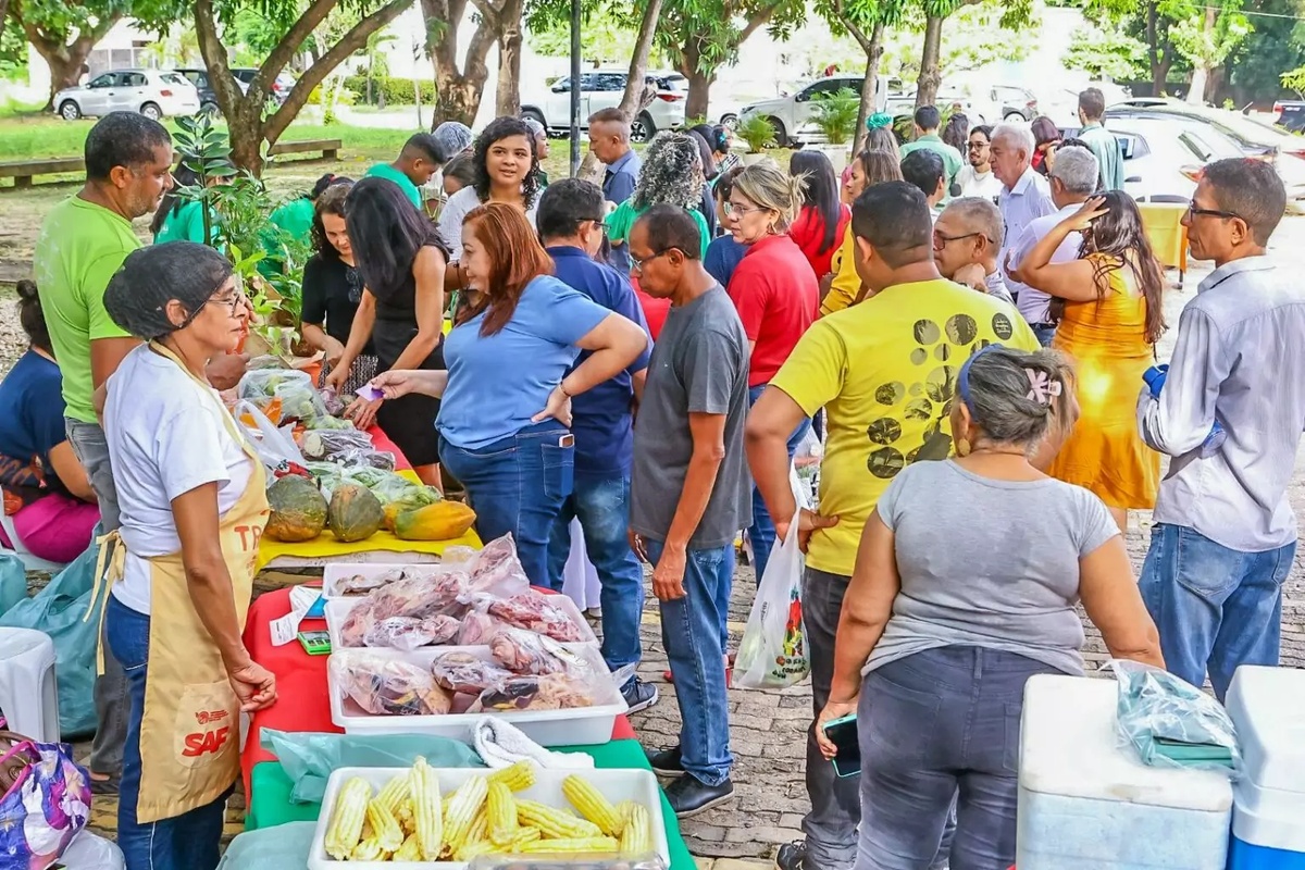 Quitanda levará frutas e hortaliças à II Feira da Agricultura Familiar do Piauí
