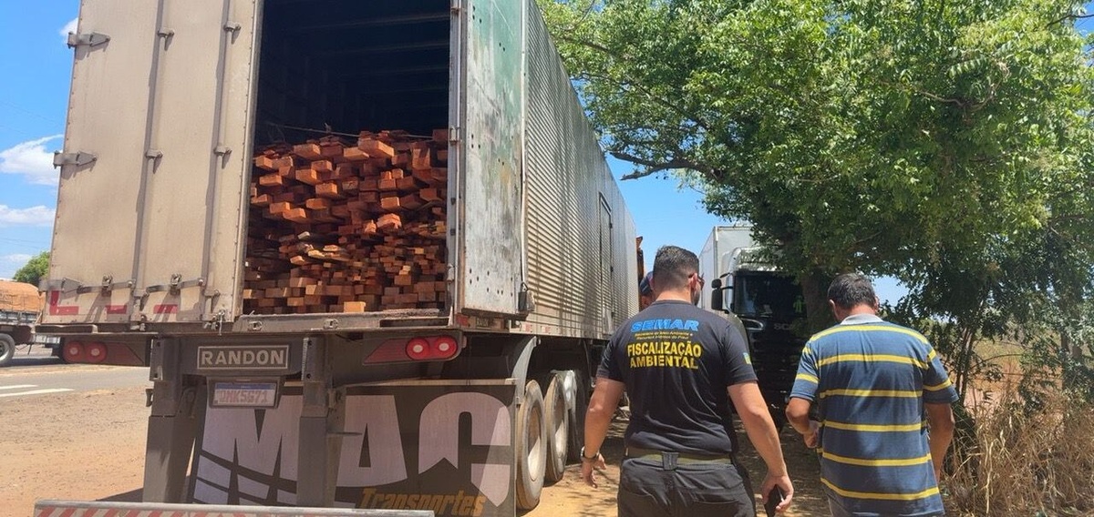 Secretaria do Meio Ambiente e PRF realizam a maior apreensão de madeira ilegal