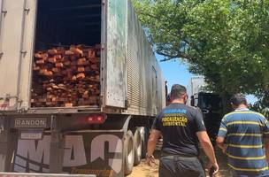 Secretaria do Meio Ambiente e PRF realizam a maior apreensão de madeira ilegal (Foto: Divulgação)