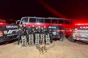 SSP-PI apreende 250 quilos de drogas e prende dois suspeitos em operação (Foto: Divulgação)