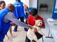 Timon realiza Dia D de vacinação antirrábica no dia neste próximo sábado (25)