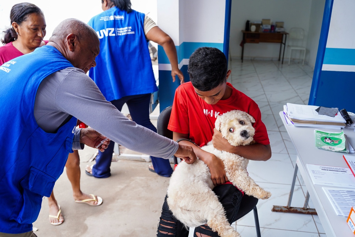 Timon realiza Dia D de vacinação antirrábica no dia neste próximo sábado (25)