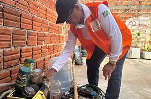 No Dia D de Combate à Dengue, Sesapi realiza ação educativa em Teresina (Foto: Divulgação)