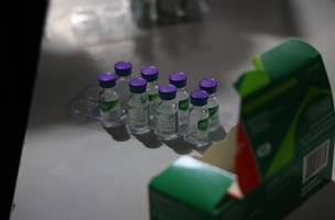 Piauí amplia vacinação contra a dengue e enviará doses para todos os municípios (Foto: Divulgação)