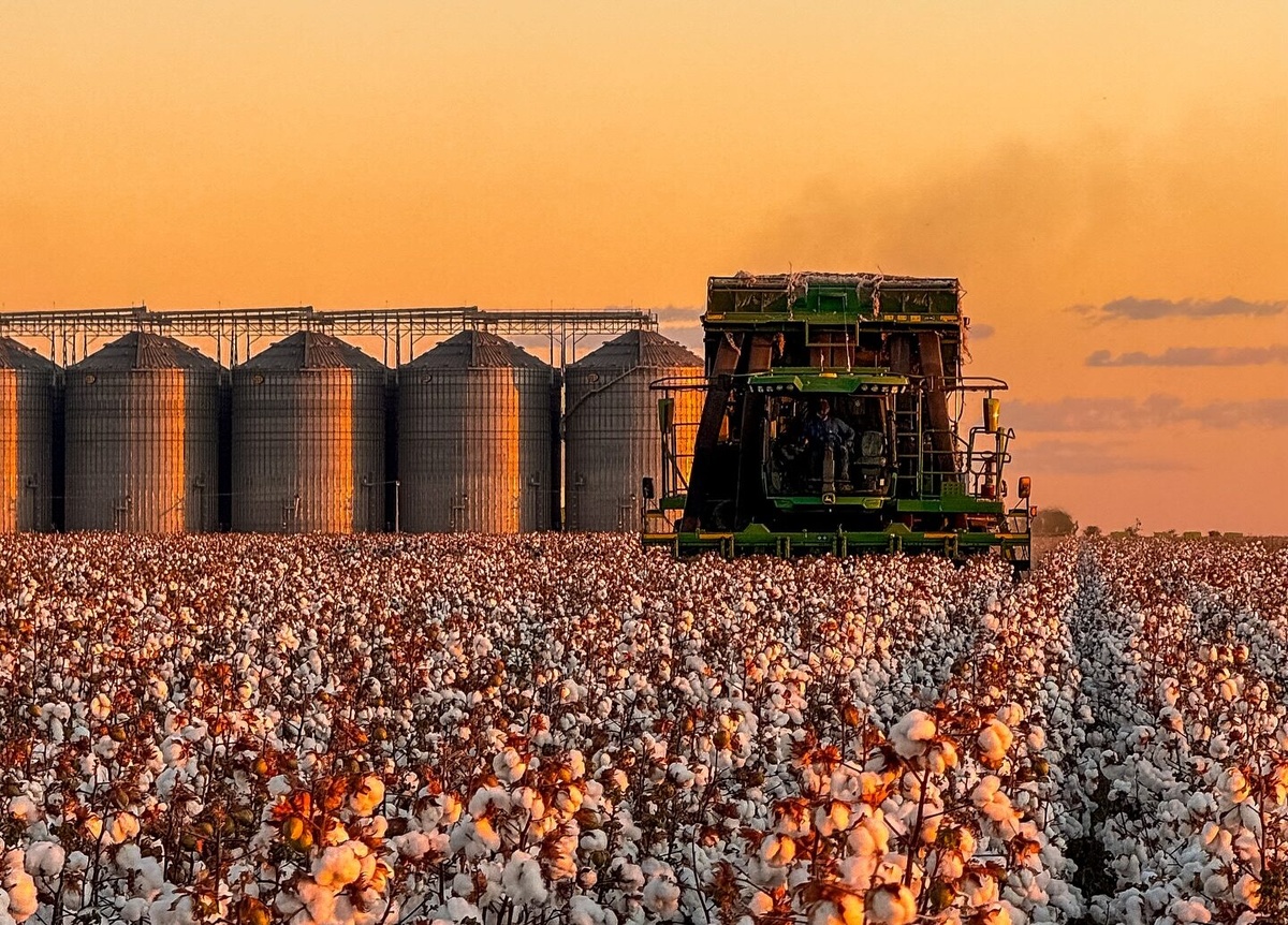 Piauí registra PIB de R$ 80,9 bilhões em 2023 e supera média de crescimento