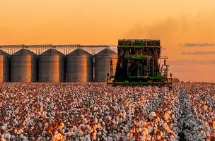 Piauí registra PIB de R$ 80,9 bilhões em 2023 e supera média de crescimento (Foto: Divulgação)