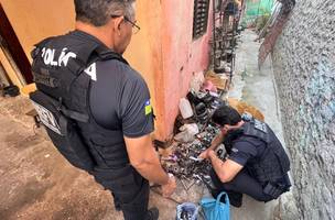 Polícia Civil prende 10 suspeitos de grupo criminoso interestadual no Piauí (Foto: Divulgação)