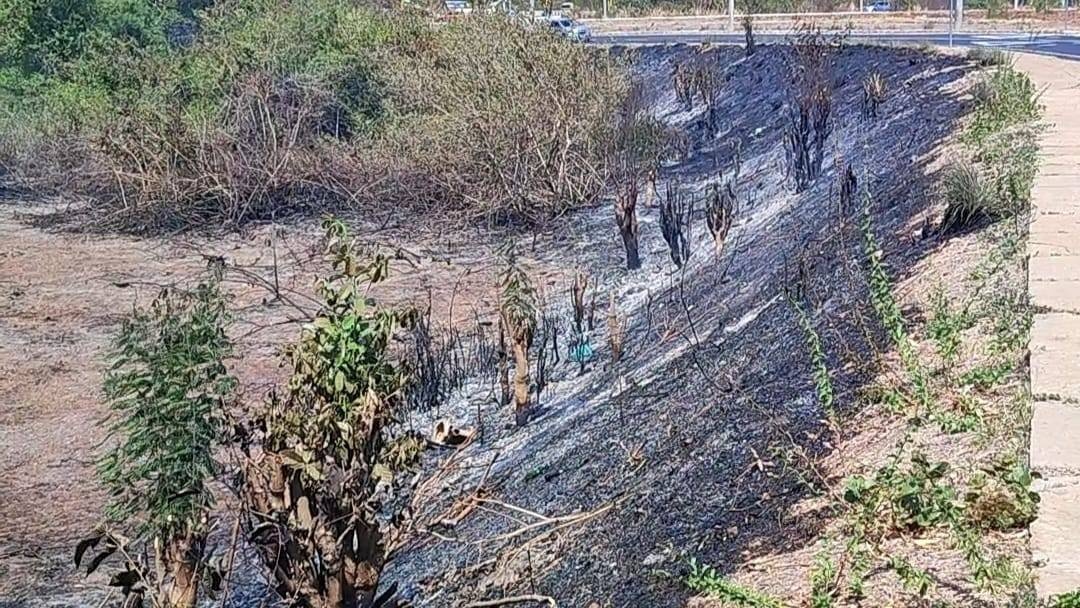 Queimadas lideram chamados na Defesa Civil de Teresina no mês de outubro
