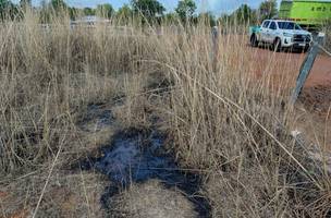 Semarh  monitora área atingida por carga química em Baixa Grande do Ribeiro (Foto: Divulgação)