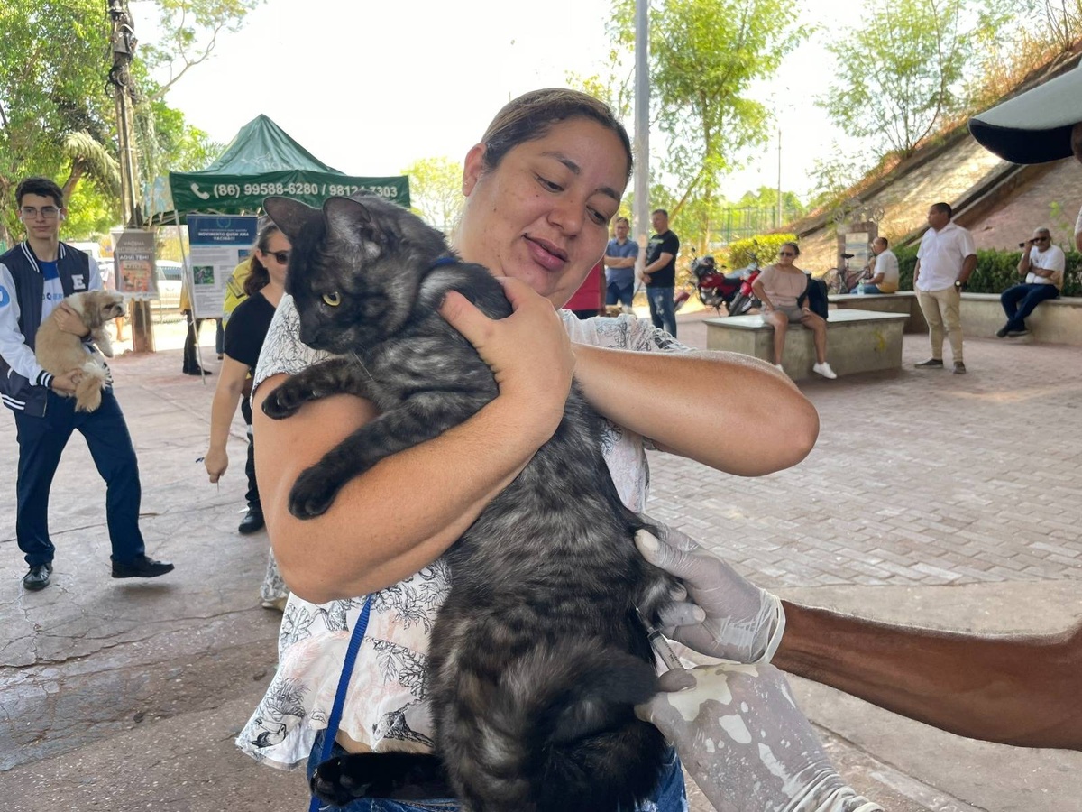 Vacinação contra raiva acontece nas zonas Norte e Leste amanhã (22)