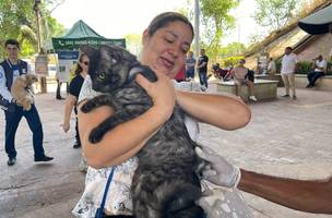 Vacinação contra raiva acontece nas zonas Norte e Leste amanhã (22) (Foto: Divulgação)