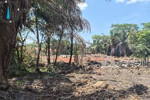 Ação da Semarh confirma desmatamento ilegal no Recanto das Palmeiras em Teresina (Foto: Divulgação)