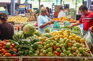 Nova Ceasa avança com melhorias e ampliação de espaços no Piauí (Foto: Divulgação)