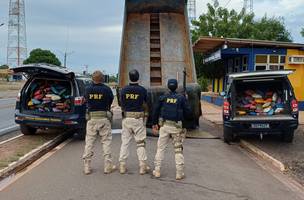 PRF apreende 350 kg de skunk durante fiscalização em Picos (PI) (Foto: Divulgação)