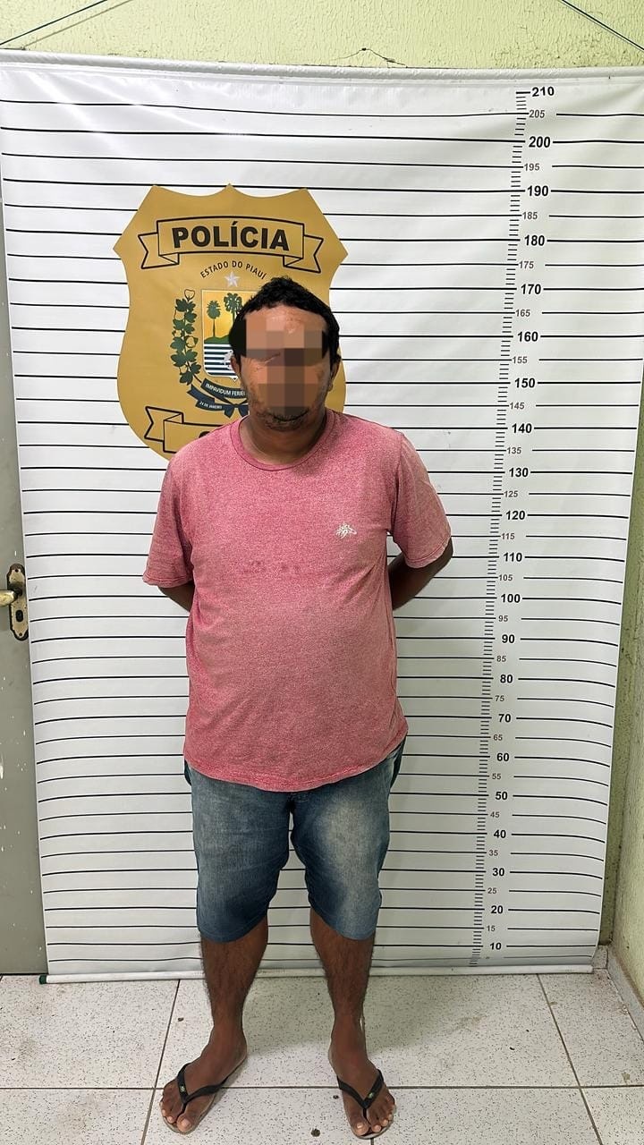 Homem condenado por furto é preso pela Polícia Civil em Parnaíba