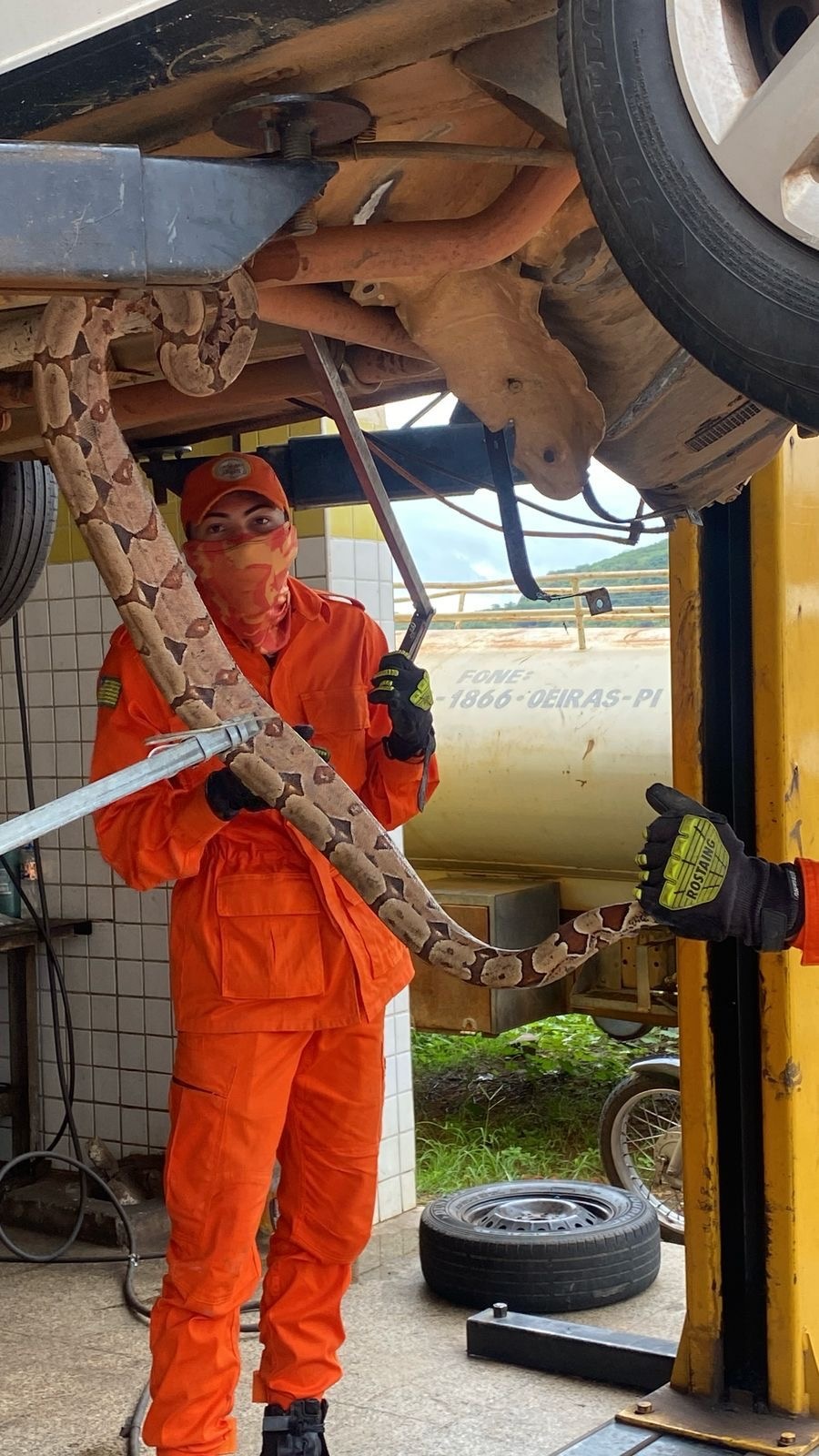 , os bombeiros enviados até o local utilizaram técnicas especializadas de resgate