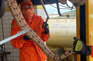 , os bombeiros enviados até o local utilizaram técnicas especializadas de resgate (Foto: Divulgação)