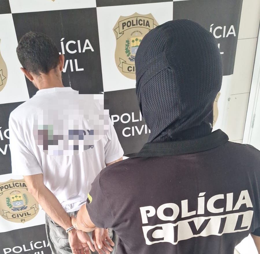Suspeito de vários furtos a comércios é preso pela polícia Civil em Teresina