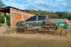 Em operação, PM resgata 21 aves silvestres em cativeiro no interior do Piauí (Foto: Divulgação)