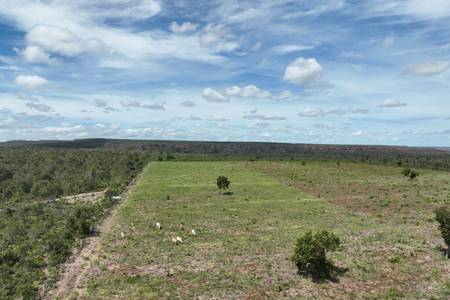 Piauí, Maranhão e mais 7 estados registraram mais de 41 mil crimes ambientais