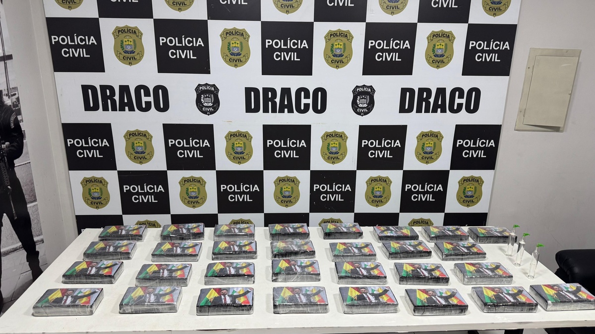 Polícia apreende R$ 3,5 milhões em drogas durante operação em Teresina
