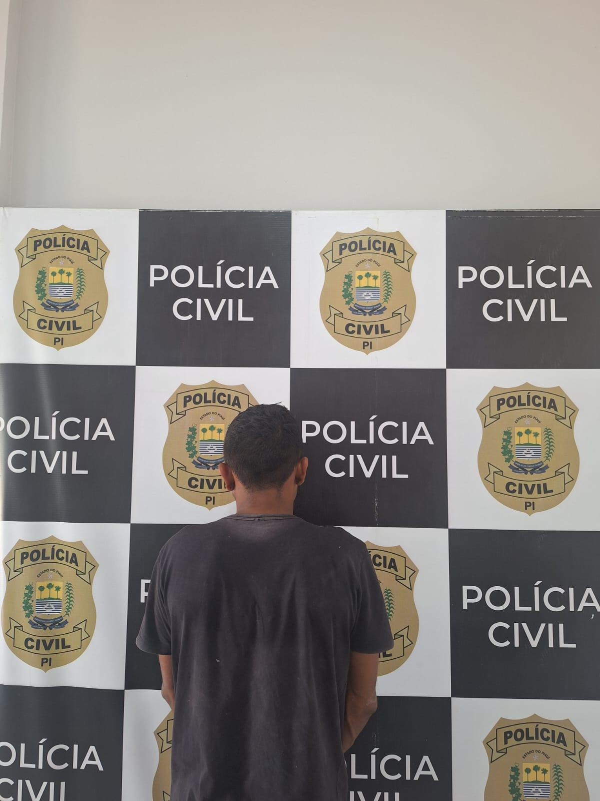 Polícia Civil prende suspeito de furto em casas e comércios em Teresina