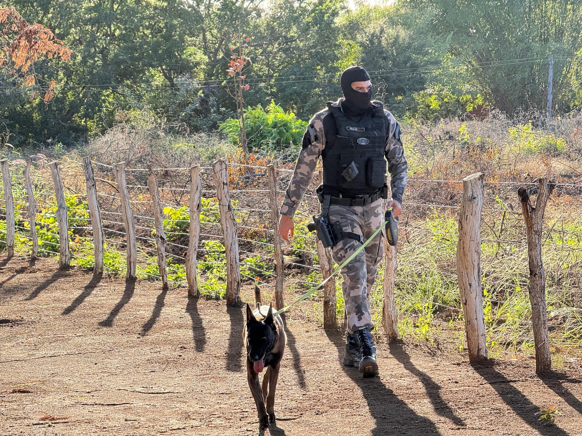 Polícia cumpre 13 mandados em ação integrada no Piauí; 5 são presos
