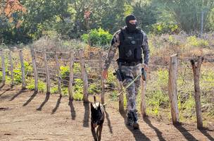 Polícia cumpre 13 mandados em ação integrada no Piauí; 5 são presos (Foto: Divulgação)