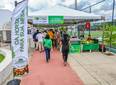 Quitanda da Agricultura Familiar leva produção ao Diálogos pelo Piauí
