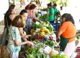 Quitanda da SAF levará produtos da agricultura familiar para a Uespi