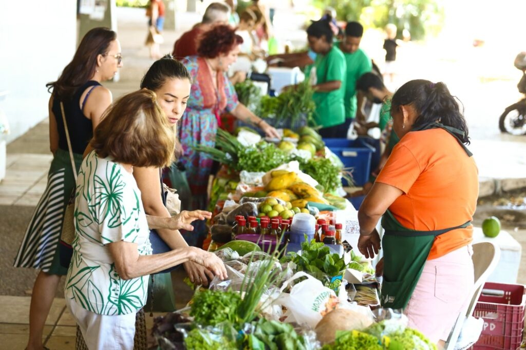Quitanda da SAF levará produtos da agricultura familiar para a Uespi
