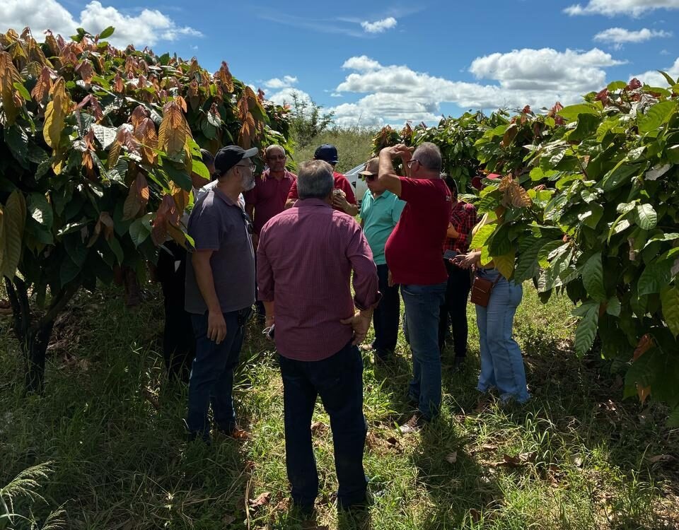 Sada realiza intercâmbio técnico na Bahia para conhecer experiências inovadoras