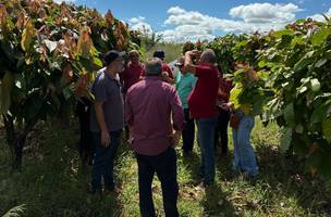 Sada realiza intercâmbio técnico na Bahia para conhecer experiências inovadoras (Foto: Divulgação)