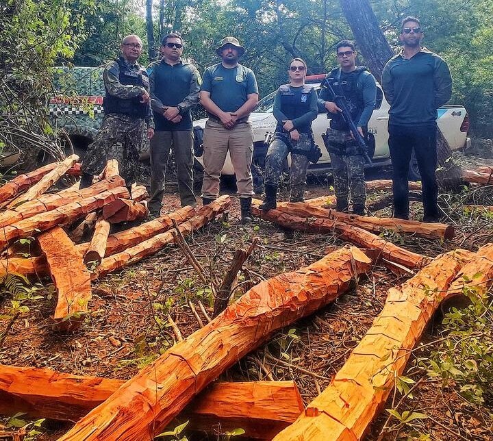Semarh aplica multa de R$ 550 mil em crimes de desmatamento ilegal no Piauí