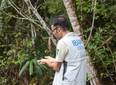 Prefeitura de Timon e IBAMA devolvem aves silvestres à natureza