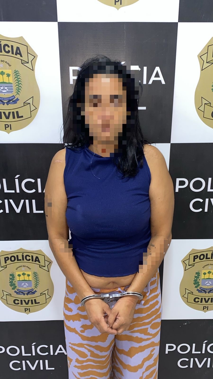 Mulher é presa por arrombar e furtar estabelecimento no centro de Teresina