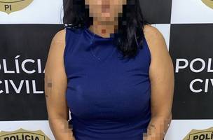 Mulher é presa por arrombar e furtar estabelecimento no centro de Teresina (Foto: Divulgação)