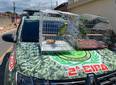 PM apreende dois papagaios mantidos ilegalmente em residência em Parnaíba