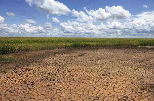Seca avança no Piauí e Semarh lança ferramenta para monitorar situação (Foto: Divulgação)