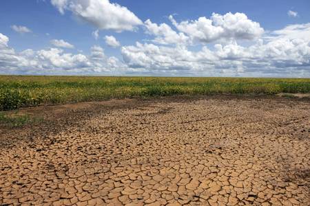 Piauí enfrenta seca severa e Defesa Civil reforça ações de combate