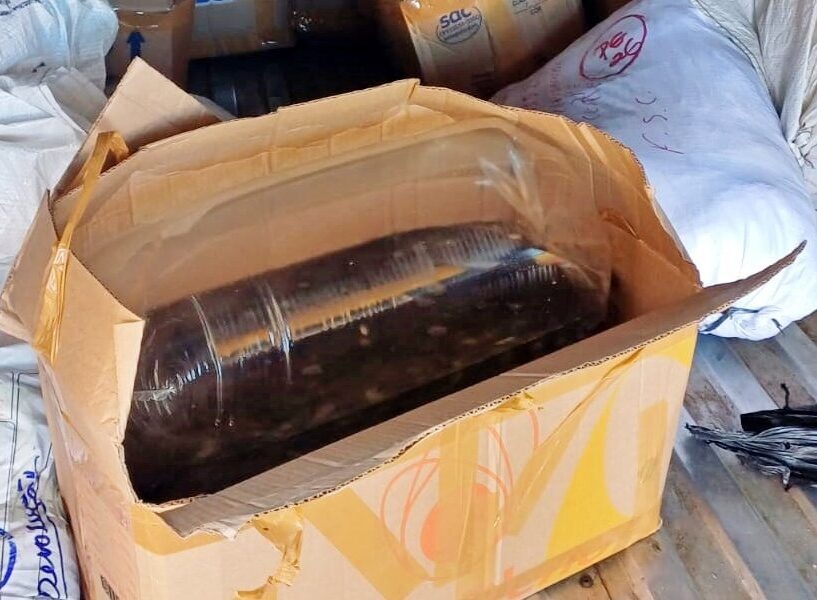 Adapi autua transporte irregular de alevinos em Valença