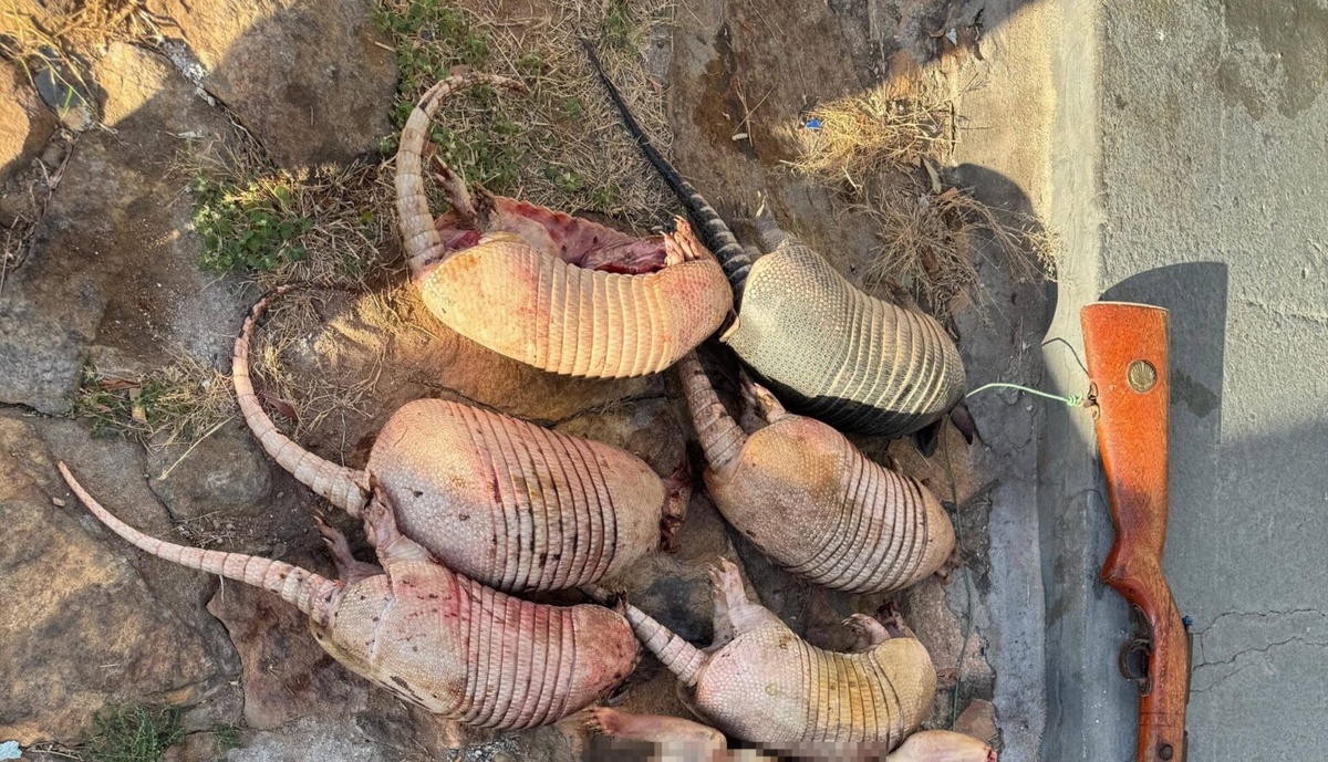 Em nova ação, Polícia Militar intercepta caçadores e apreende animais abatidos
