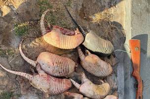 Em nova ação, Polícia Militar intercepta caçadores e apreende animais abatidos (Foto: Divulgação)