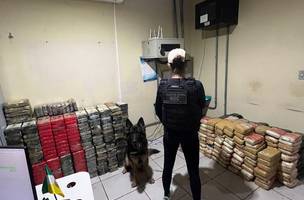 Mais de 600 kg de drogas são apreendidos em Picos, no Sul do Piauí (Foto: Divulgação)