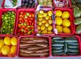 SAF lança edital com R$ 5 milhões para compra de alimentos da agricultura