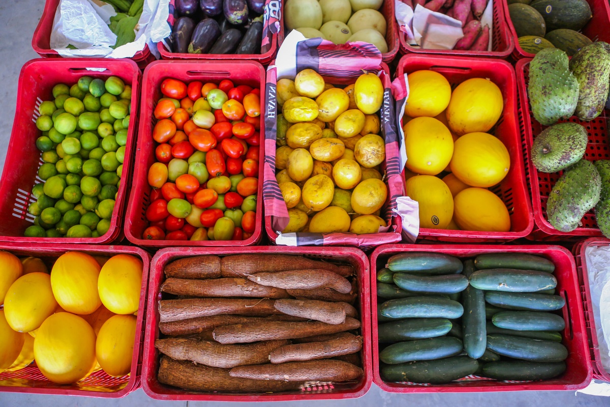 SAF lança edital com R$ 5 milhões para compra de alimentos da agricultura