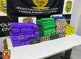 Polícia apreende 100 tabletes de maconha e prende uma pessoa no Piauí