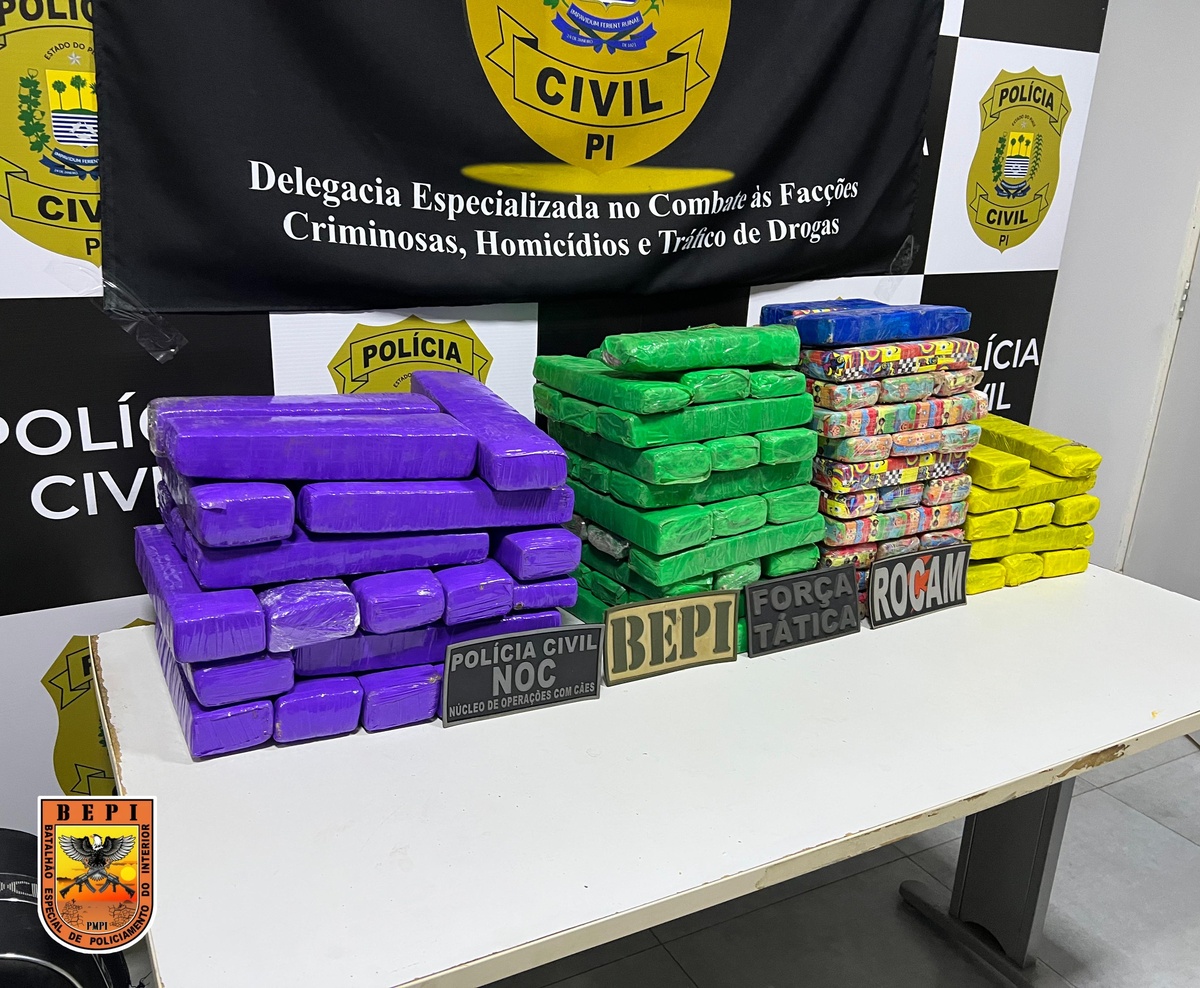 Polícia apreende 100 tabletes de maconha e prende uma pessoa no Piauí