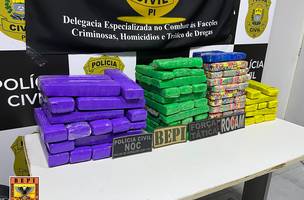 Polícia apreende 100 tabletes de maconha e prende uma pessoa no Piauí (Foto: Divulgação)
